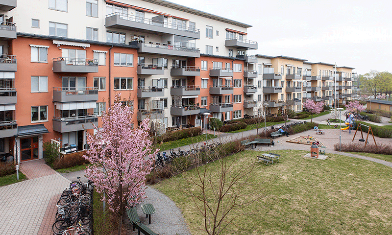 Flera lähenhetshus på rad. På innegården blommar körsbärstreäd