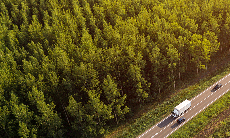 lastbil som åker längst en skogsväg